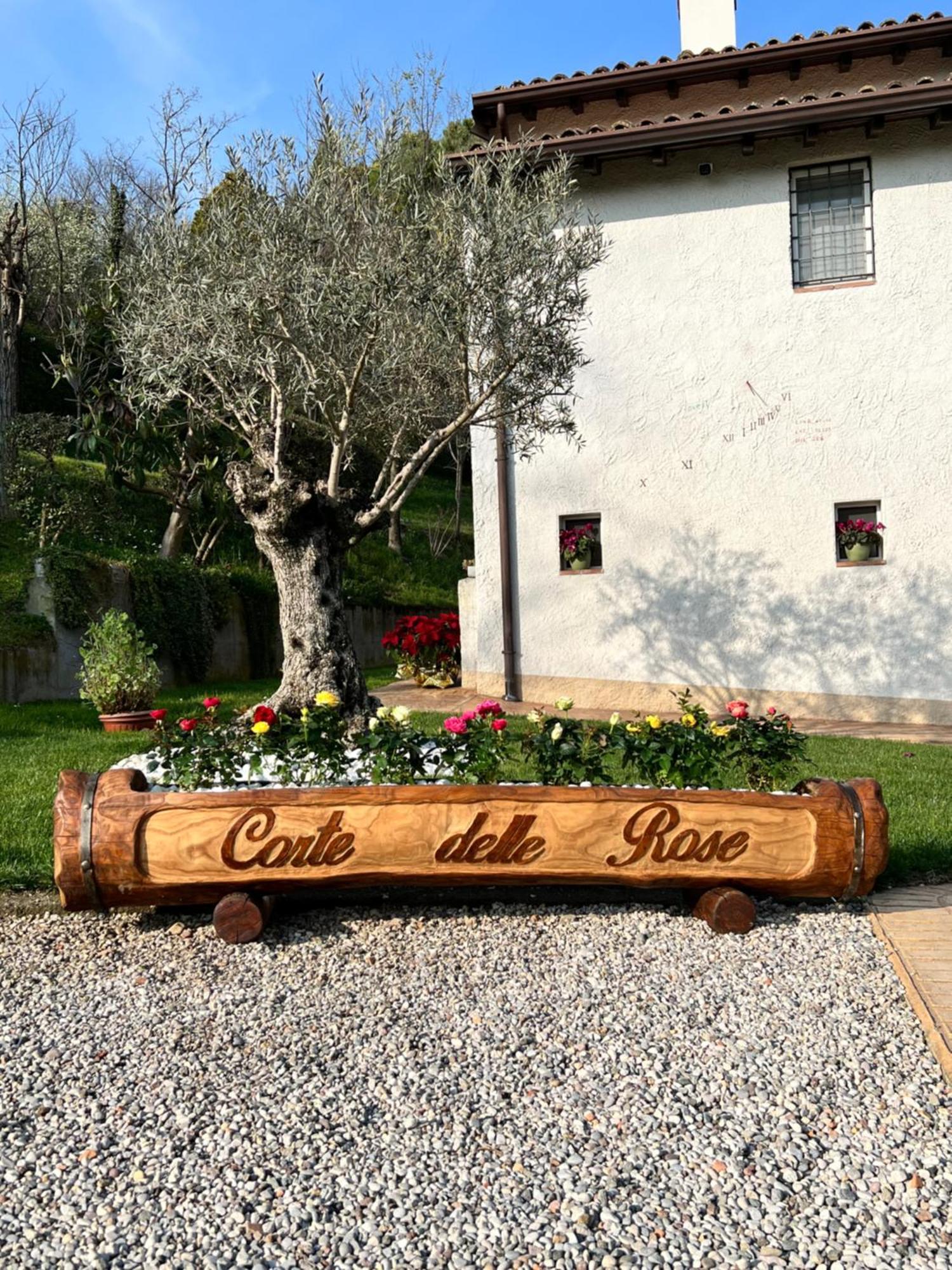 B&B Corte Delle Rose Кастильоне-делле-Стивьере Экстерьер фото